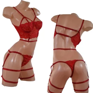 Conjunto "Salome" Lenceria con Portaligas y Arnes (art 2017) Talle 85 al 120: imagen 7